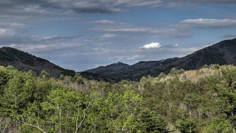 Honey Bear Lodge Blue Ridge Exteriör bild